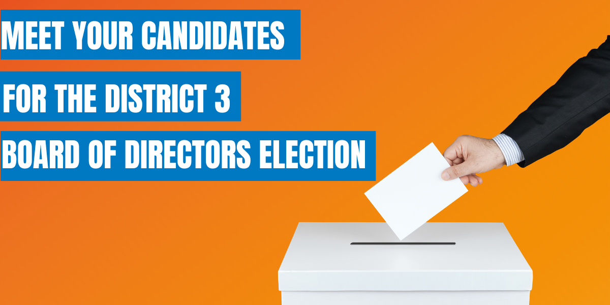 Image for Director Election 2024: Insights from the Candidates article