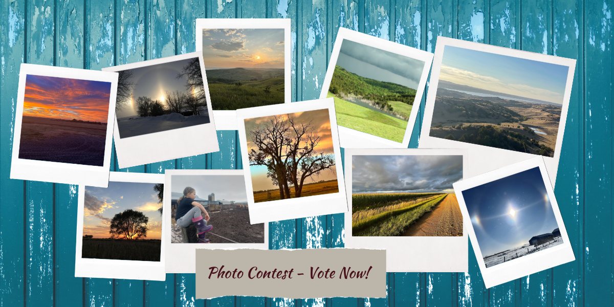 Image for Directory Photo Contest ~ Vote Today! article