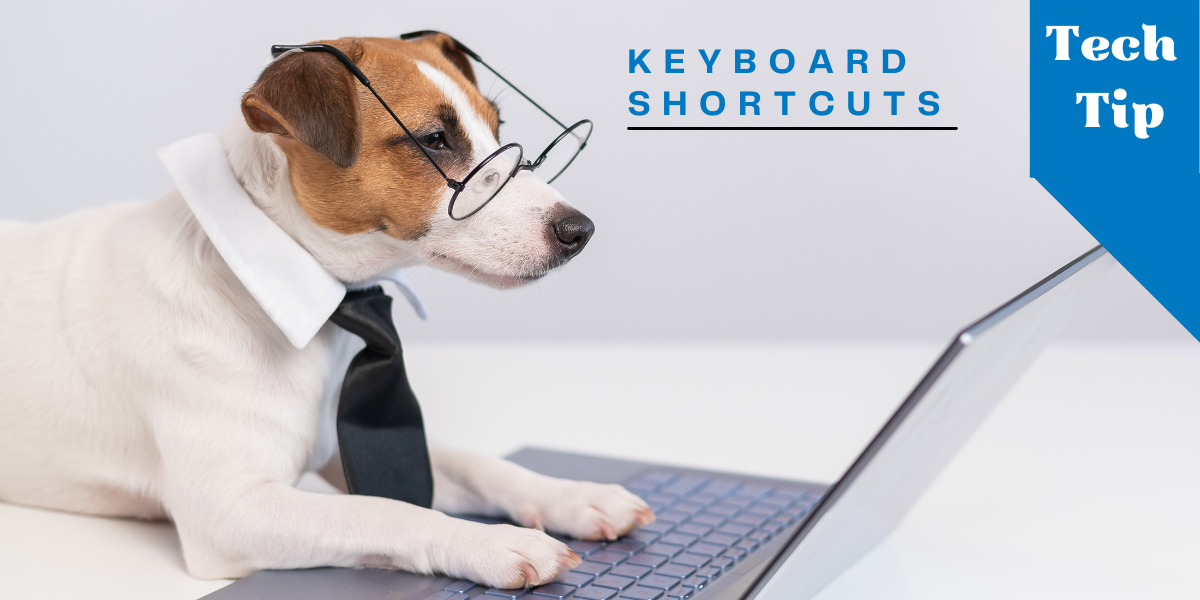 Image for Keyboard Shortcuts article